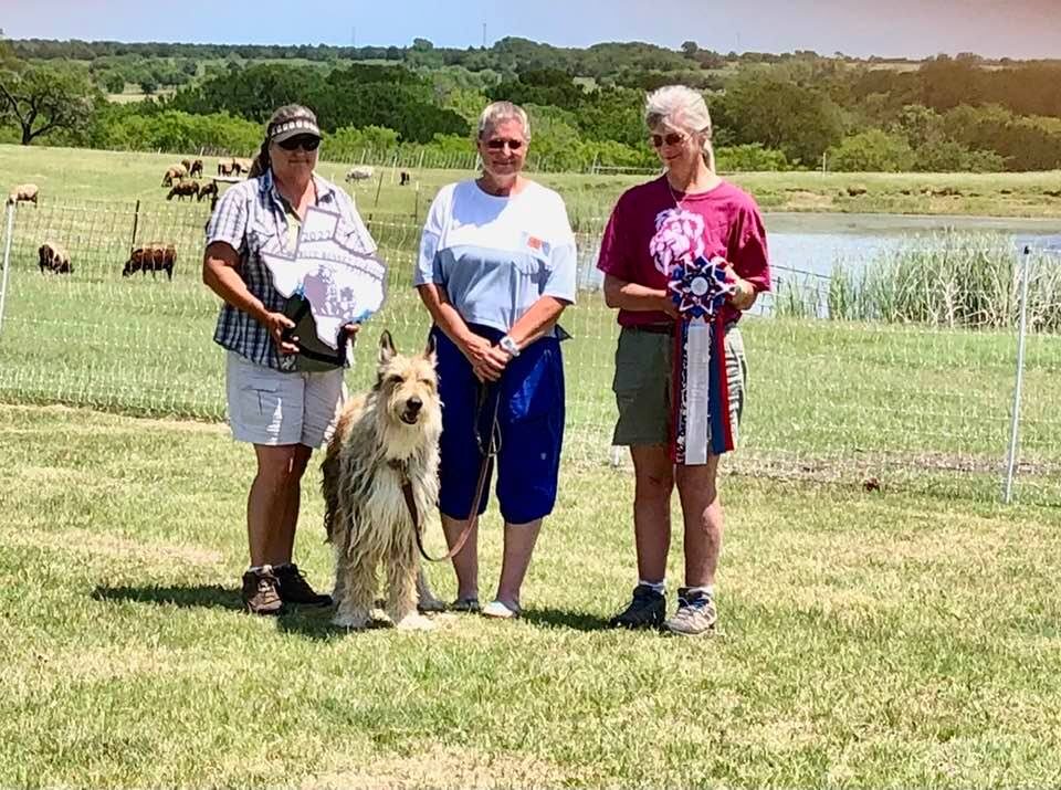New Win for Trips and Pat